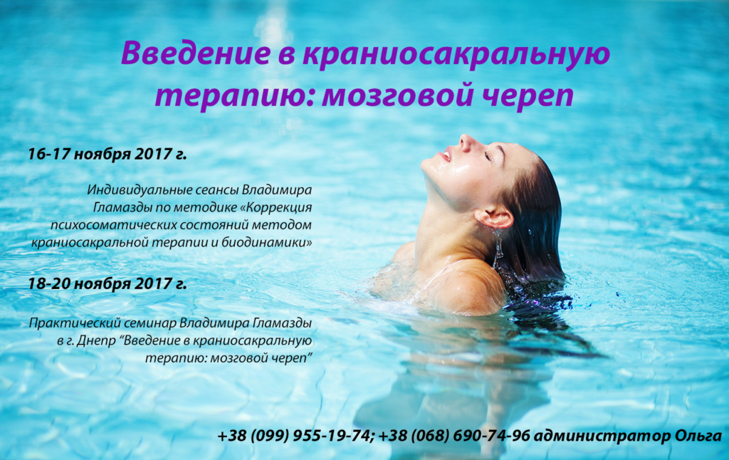 мозговой череп обучение